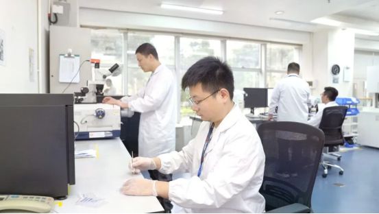 【黨建引領(lǐng)】凝心聚力沖刺收官，風(fēng)華高科以高質(zhì)量黨建引領(lǐng)高質(zhì)量發(fā)展